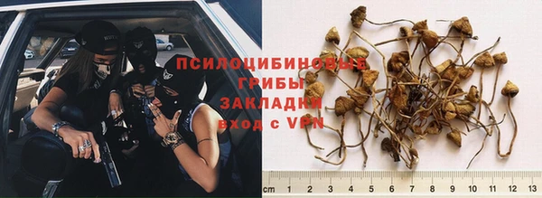 а пвп мука Армянск