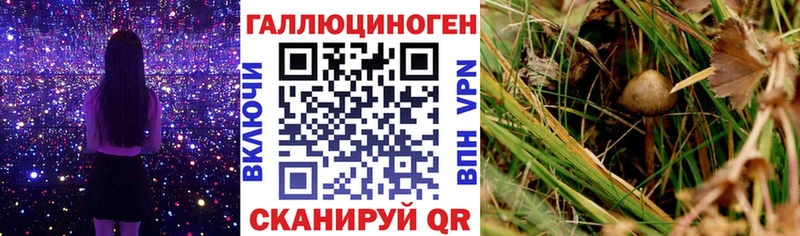 Галлюциногенные грибы прущие грибы  KRAKEN онион  Анива 